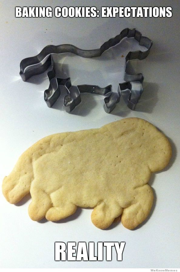 baking-cookies-expectations-vs-reality.jpg